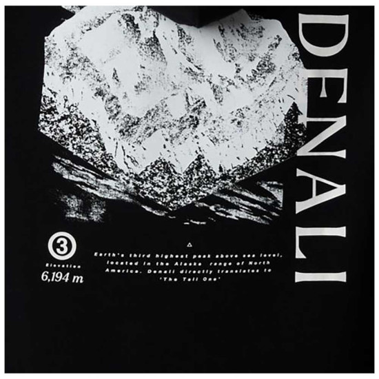The North Face Ανδρικό φούτερ Topographic Hoodie